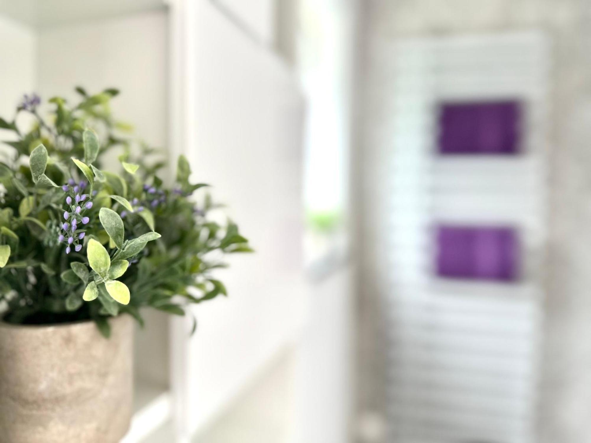 Ferienwohnung Hoffmann-Schiffer บิชอฟสวีเซิน ภายนอก รูปภาพ